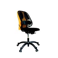 FELLOWES Professional Series ™ Mesh back support