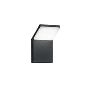 TRIO LIGHTING 221160142 Pearl 9W 900lm 3000K Wandgemälde Lampenkörper antracit