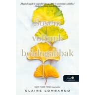 Claire Lombardo - Sosem voltunk boldogabbak