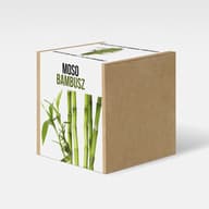Moso Bambus Pflanze nevelő einstellen
