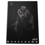 PIGNA Monocromo Black Panther notesz A5 sima P1111-0533