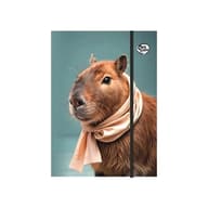 Optischool Gumis mappa karton A4 Capybara 27IGM00-004