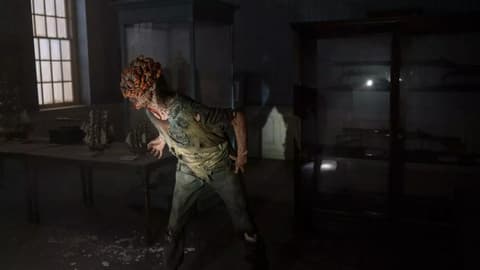 A gombák és a The Last of Us valósága