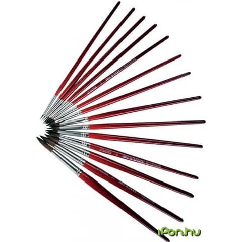 PULSE Ecset no. 4 fa oko