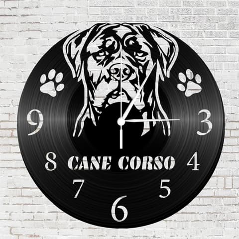 Bakelit óra Cane Corso