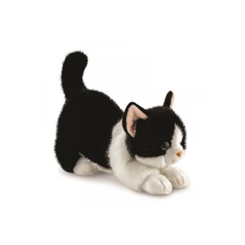 AURORA GIFT Borealis Domino plush cat figura 30cm
