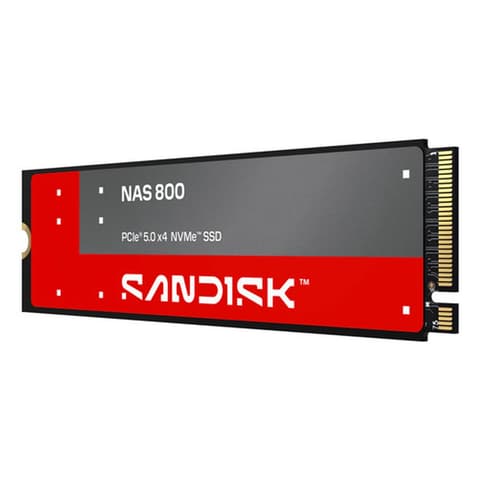 SANDISK 3.84TB NAS 800 M.2 PCIe M.2 2280 SDSNP2384TAN-000E0