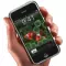 iPhone és iPod Touch árcsökkenés?