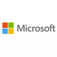 Hamar megtalálhatják a Microsoft új elnök-vezérigazgatóját