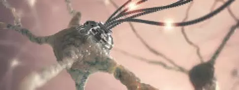 Öngyógyítást serkentő implantátumokon dolgozik a DARPA