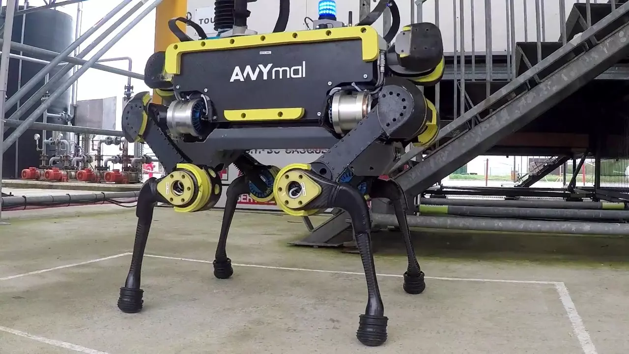 Egy svájci robotkutya szimulátorban tanulja az életet