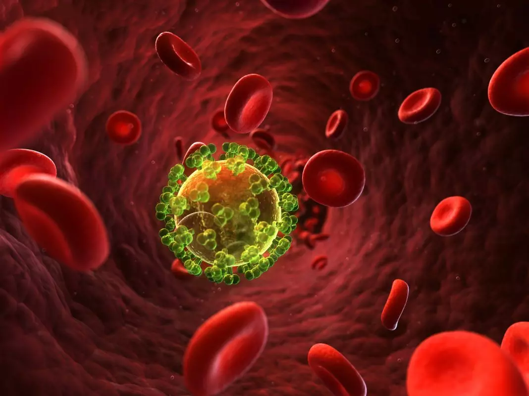 Egereket gyógyítottak ki a HIV-fertőzésből génszerkesztéssel