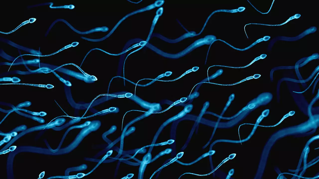 Csak illúzió, hogy a farkukat csapkodva úsznak a spermiumok
