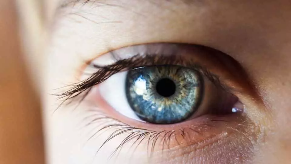 emberi látás megapixelek ami látást jelent 20-30