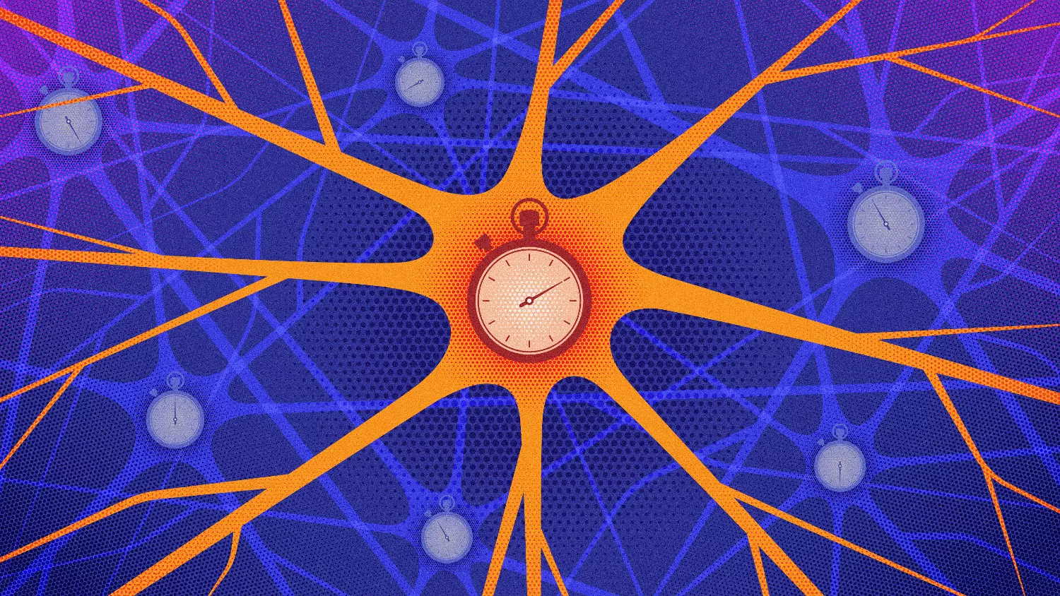 Az idegsejtek aktivitásuk időzítésével is kódolják az információkat