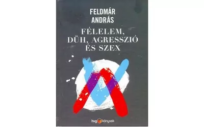 Ifjúsági szexuális cső