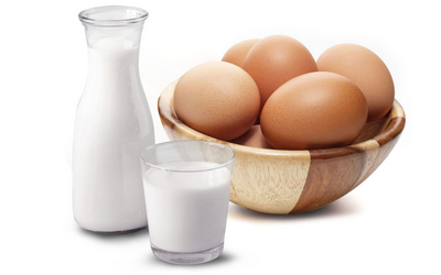 Dairy products, eggs, cheese