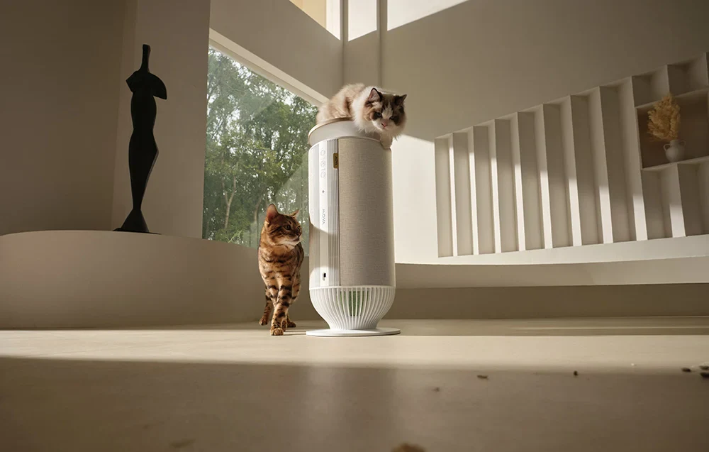 Kétzónás légáramlás: a szőr és az allergének kíméletlen befogása