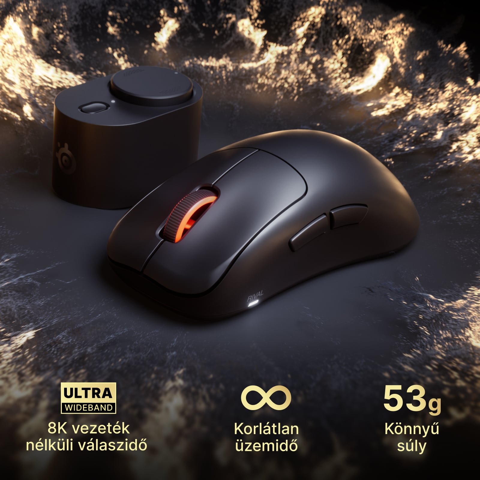 Rival Pro Black 1