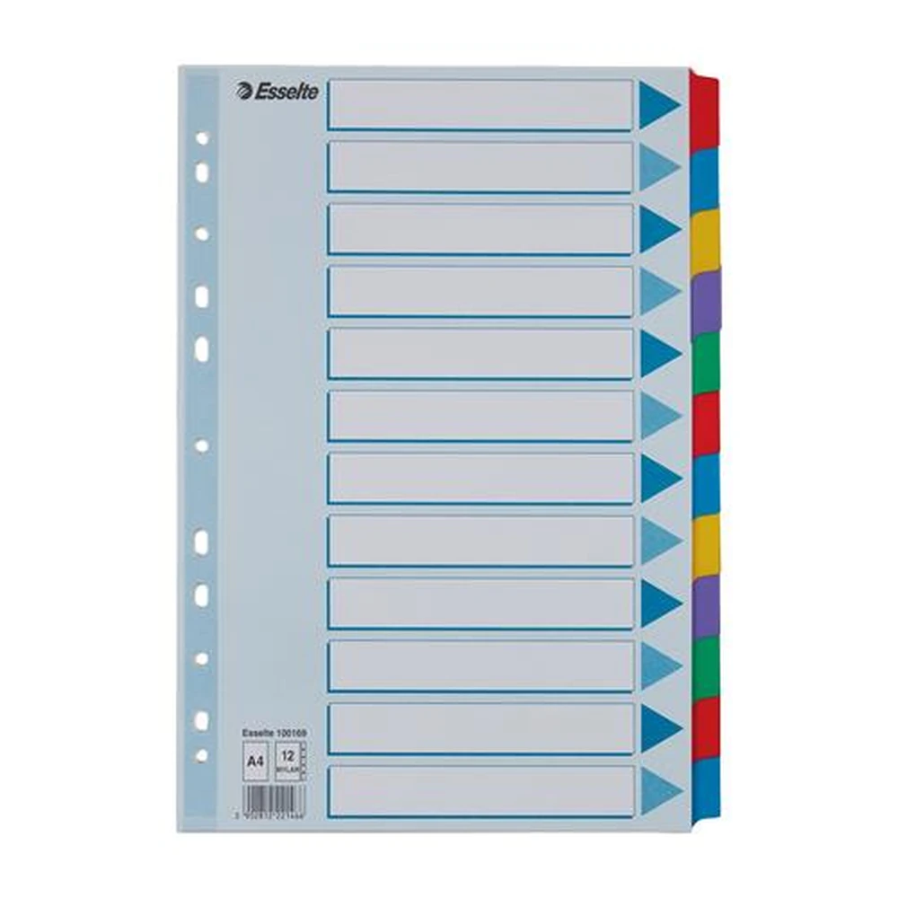 ESSELTE MYLAR elválasztólap 6 parts