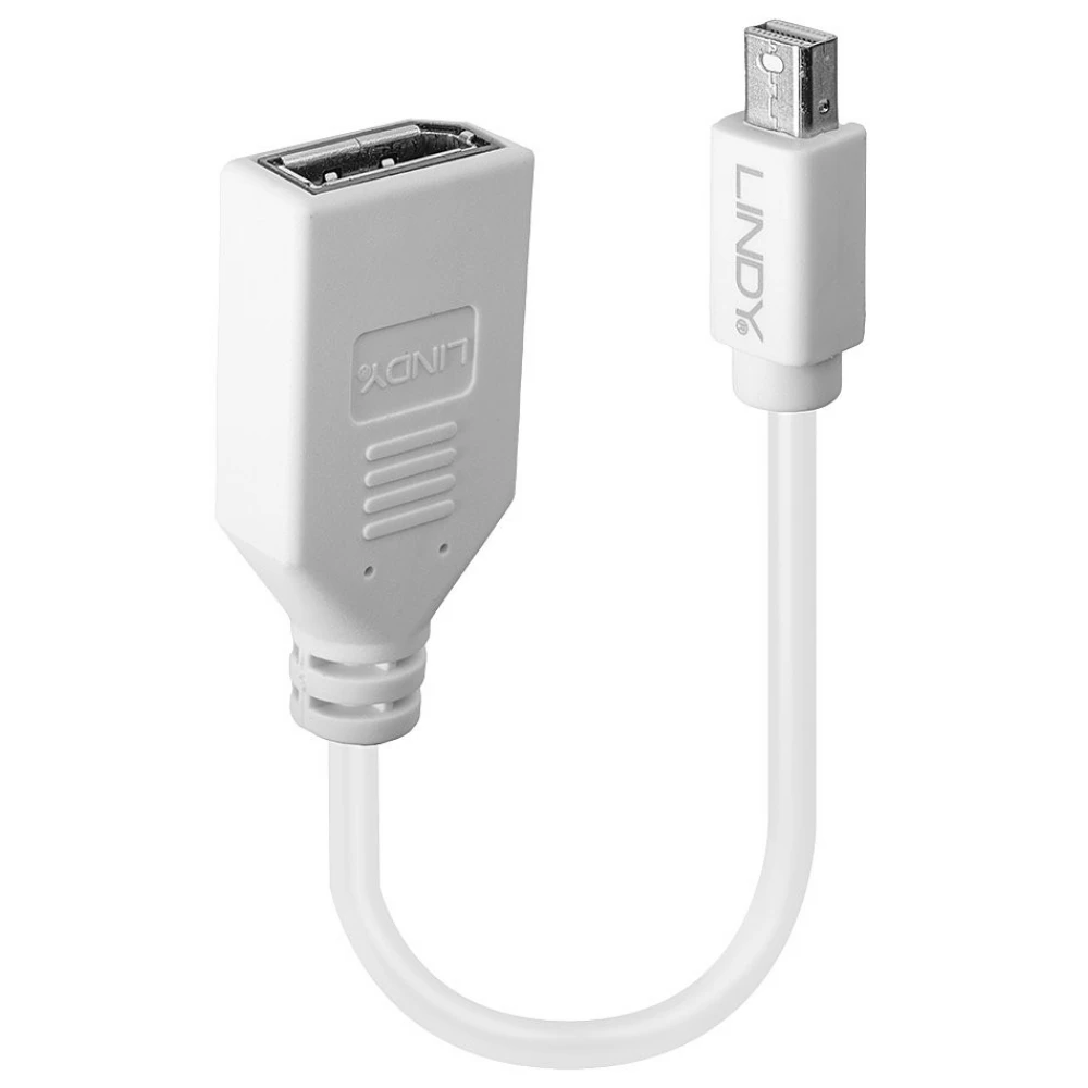 LINDY Mini DisplayPort Transformator Weiß 20cm 41021