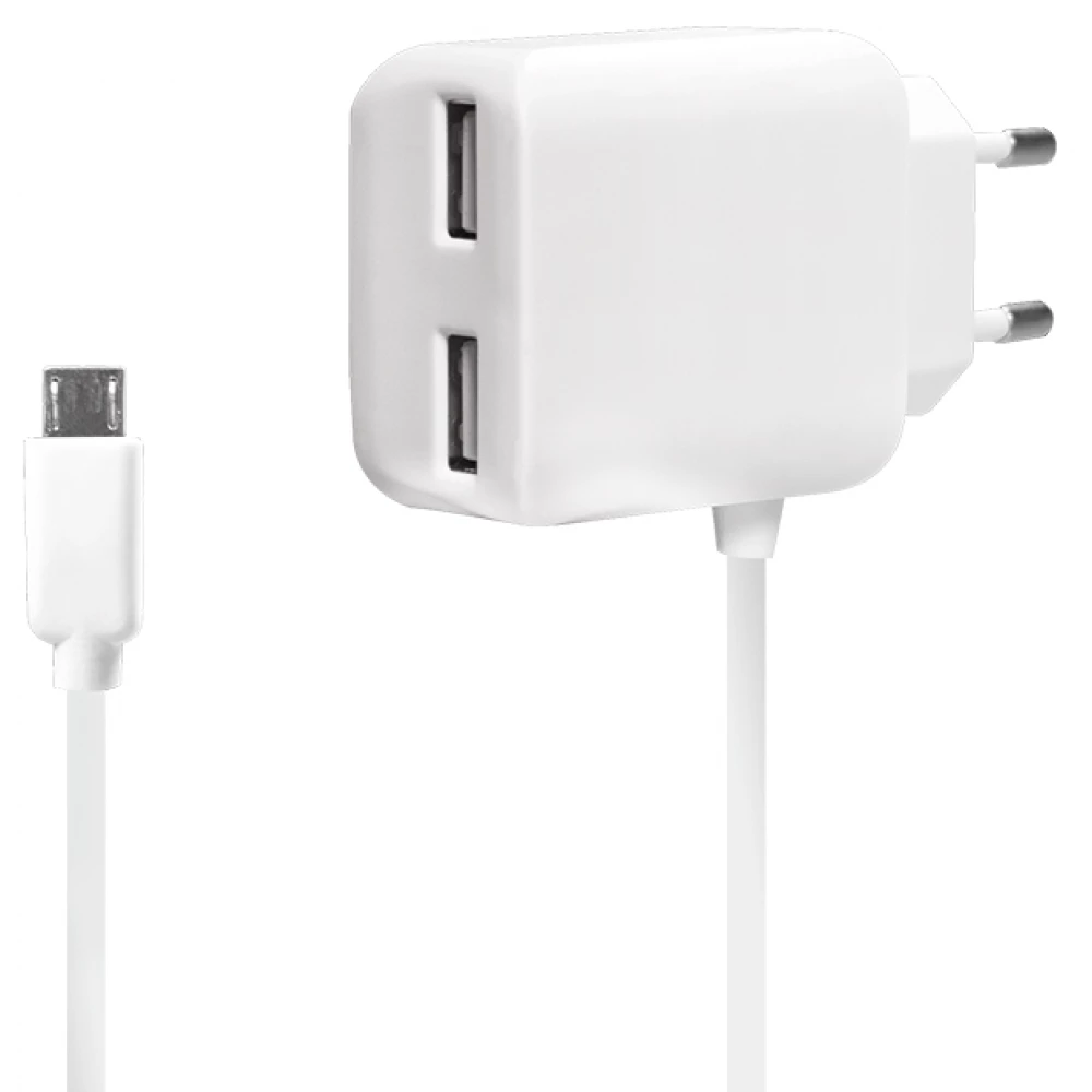 LOGILINK Mehrzweck Wandgemälde Ladegerät 2xUSB 1x fix micro USB Weiß