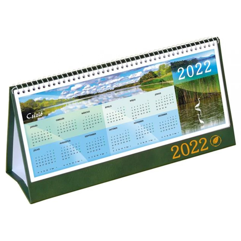 CSIZIO Calendar desktop standing green 2022