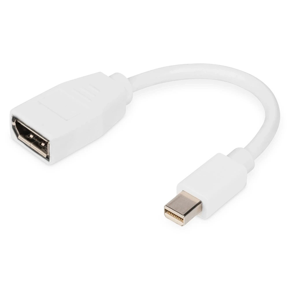 DIGITUS DisplayPort Mini DisplayPort Transformator Weiß 15cm DB-340405-001-W