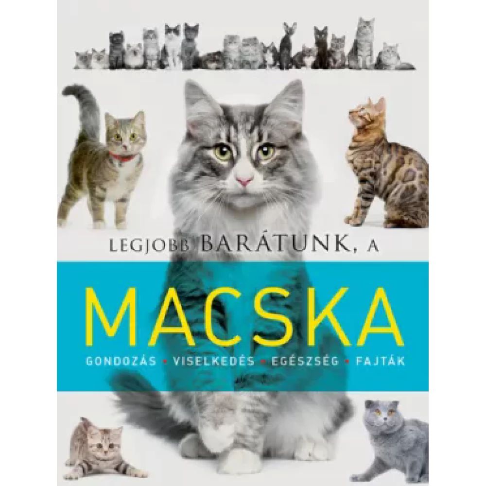 Laura Aceti - Viola Autieri - Best barátunk a cat
