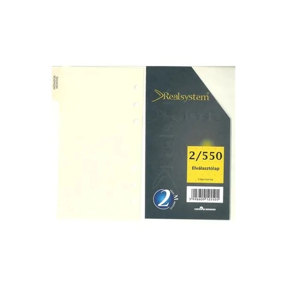 REALSYSTEM 2/550 separator lap ringed calendar accessory