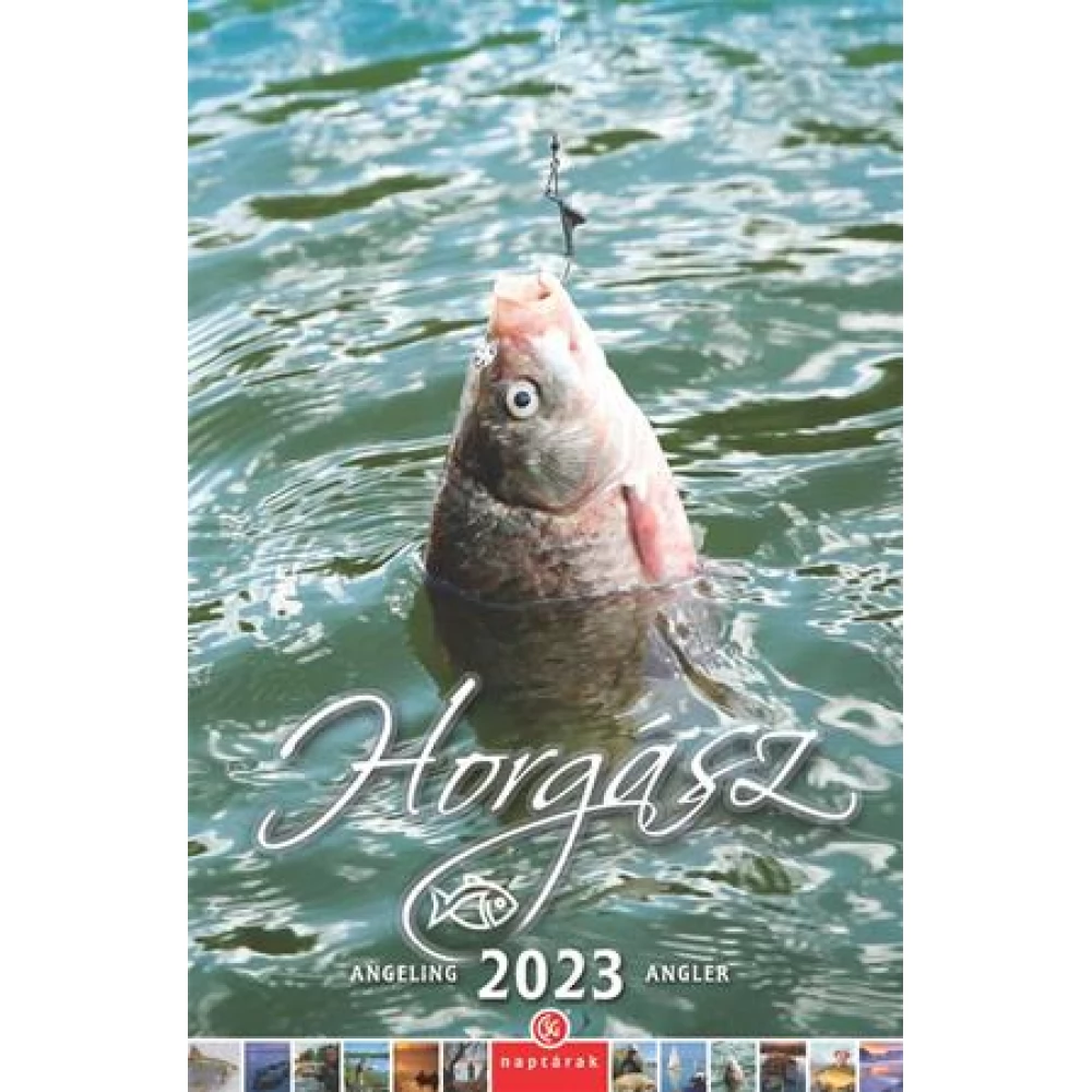 CSG Calendar mural Horgász