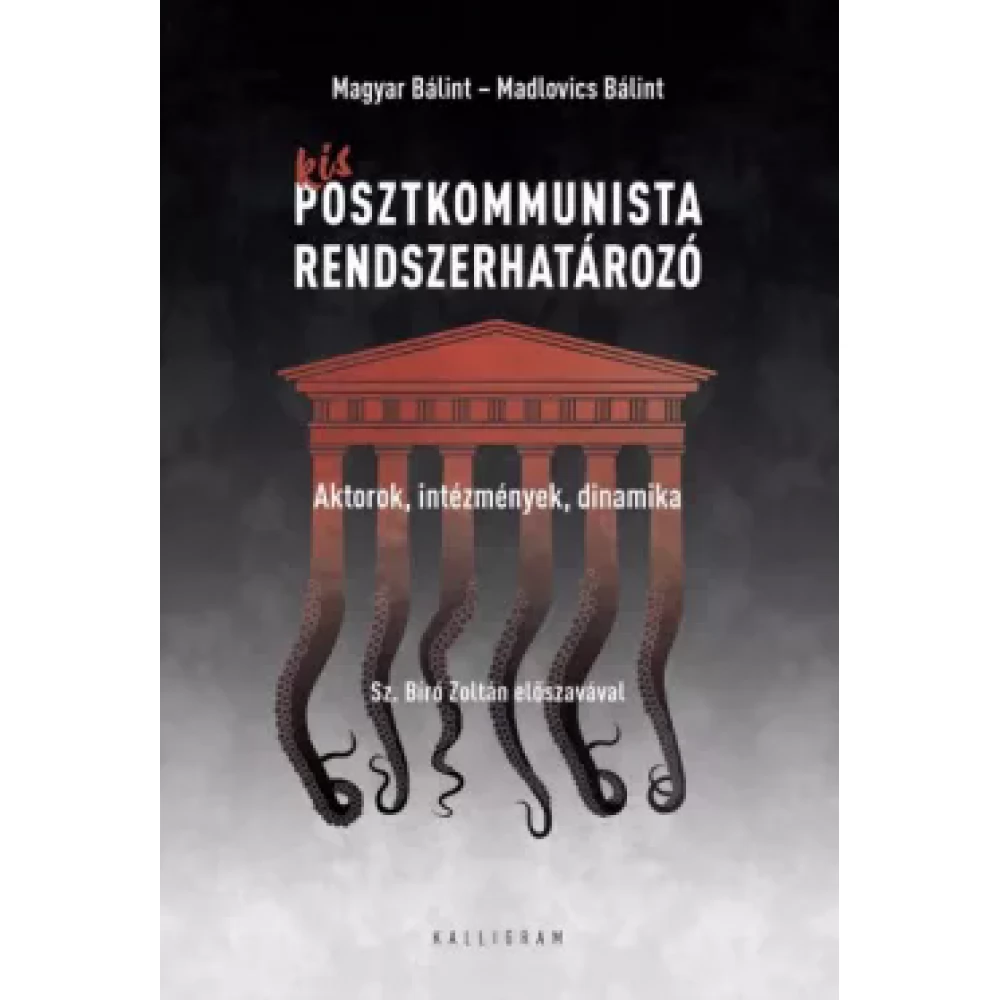 Madlovics Bálint - Magyar Bálint - Kis posztkommunista rendszerhatározó