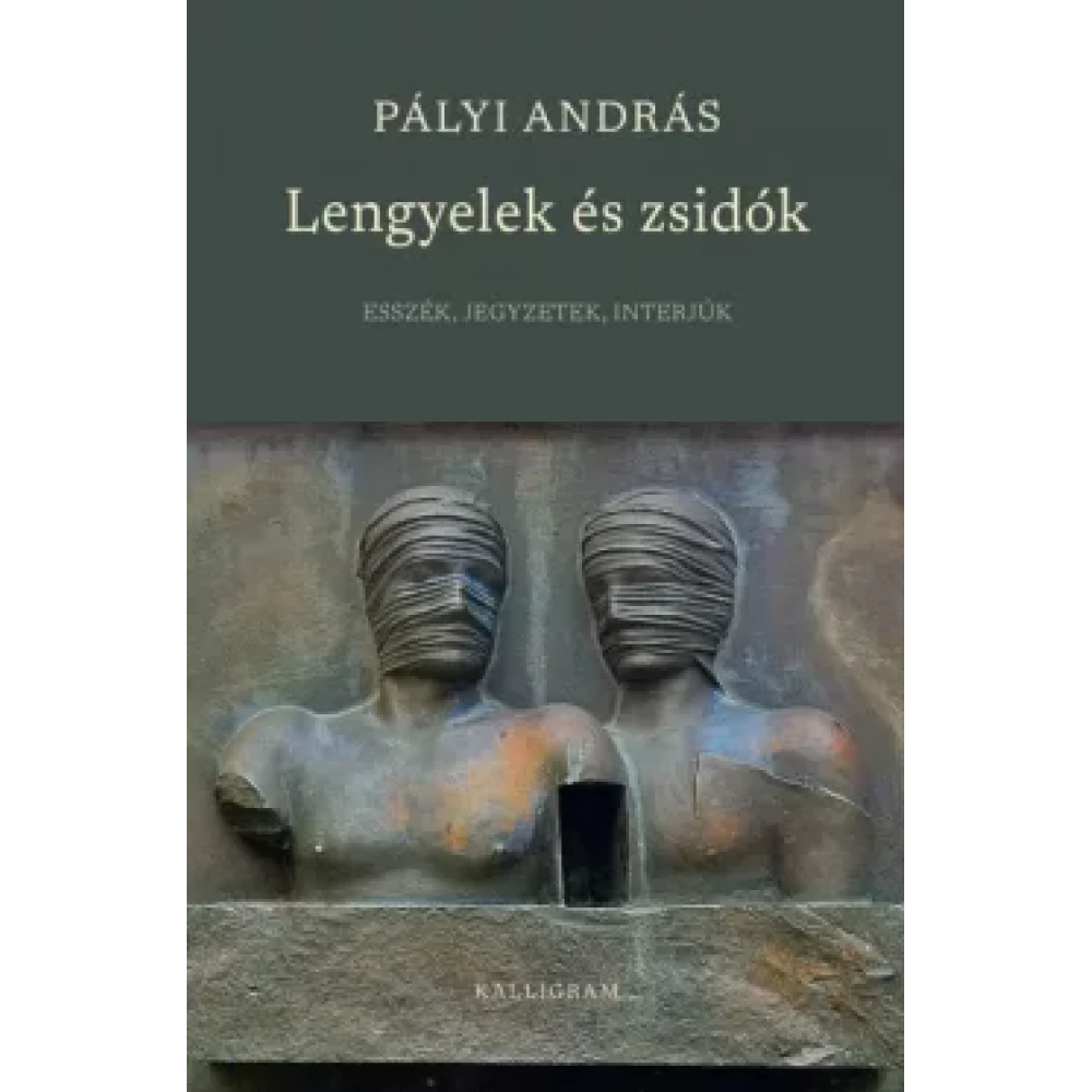 Pályi András - Lengyelek és zsidók