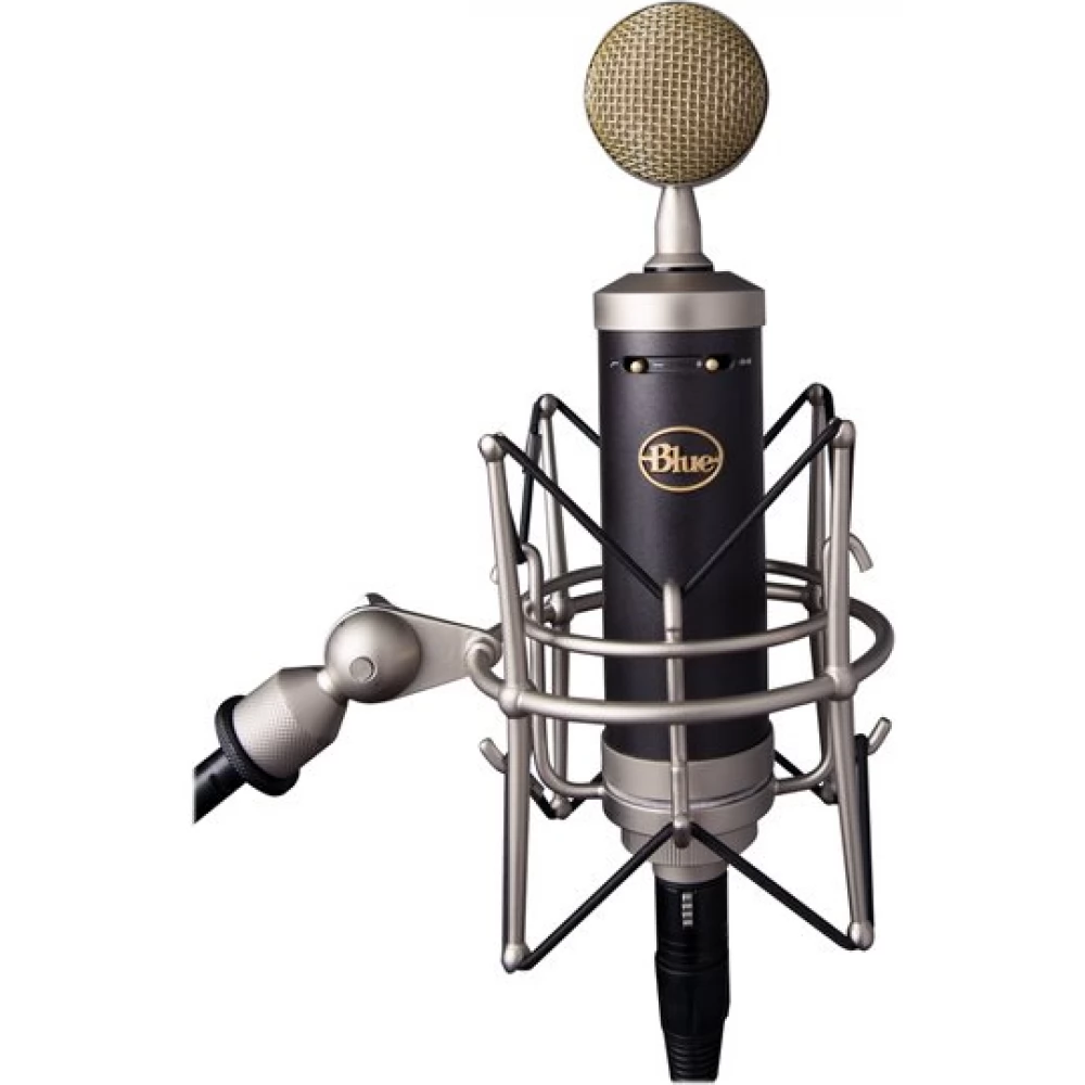 BLUE MICROPHONES Baby Bottle SL studio mikrofon negru - iPon.ro