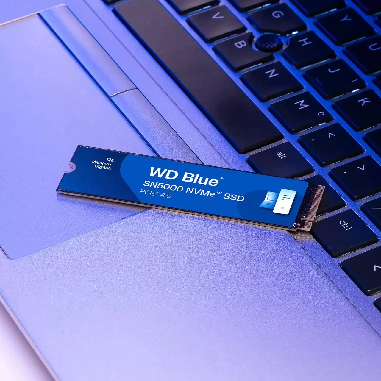 WD 4TB Blue SN5000 M.2 PCIe QLC M.2 2280 WDS400T4B0E