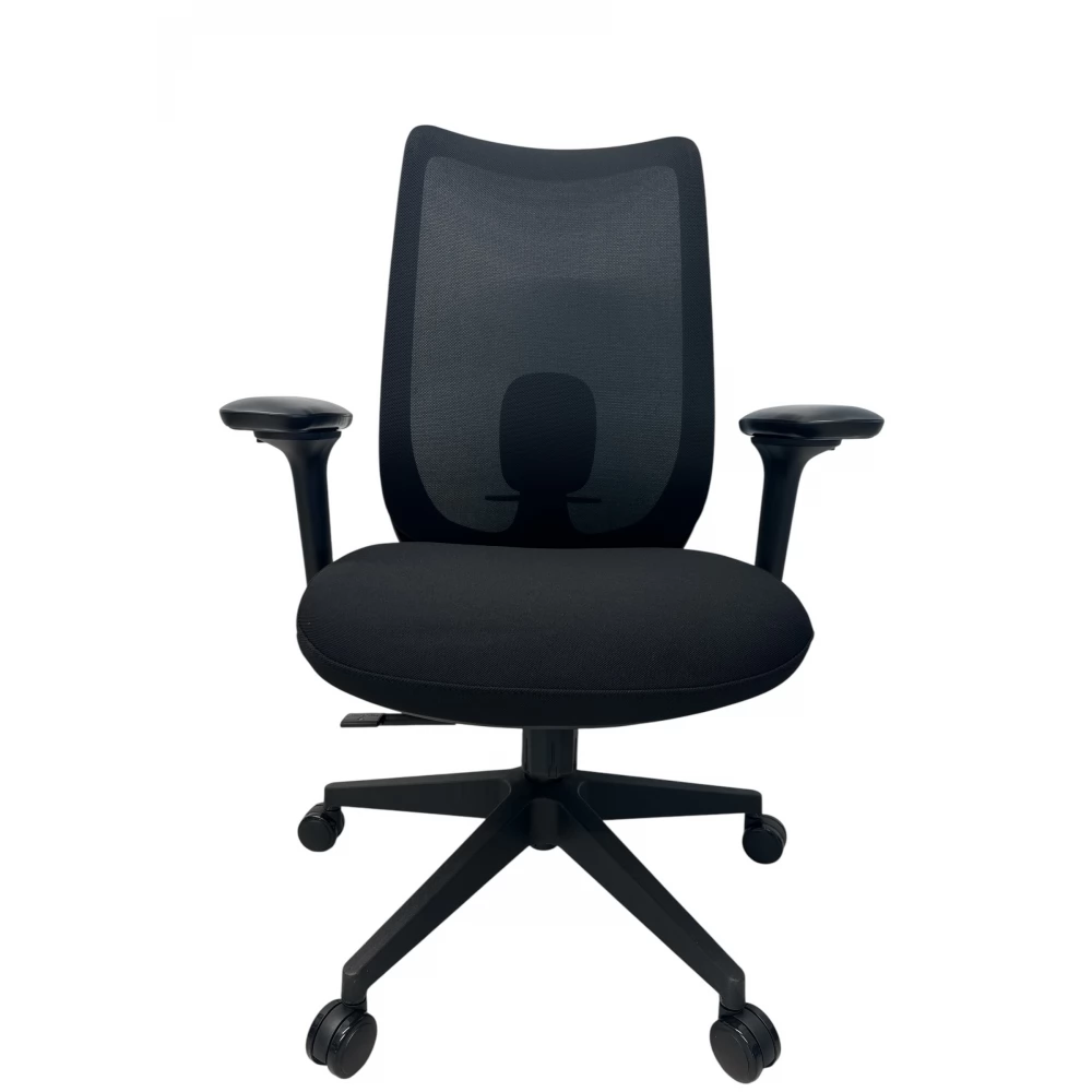 AAARVEN DQ-1912B clerical chair 4D kartámla lumbar support black