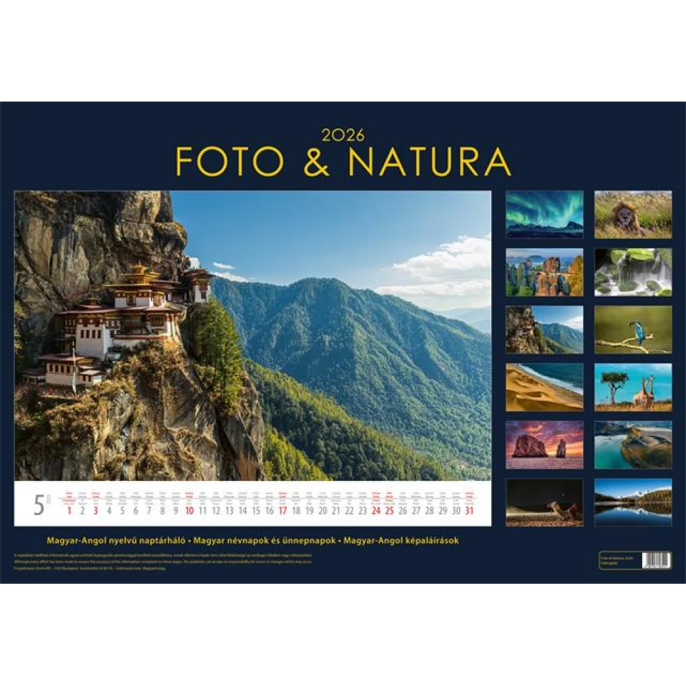 DAYLINER Naptár fali Foto&Natura 2025
