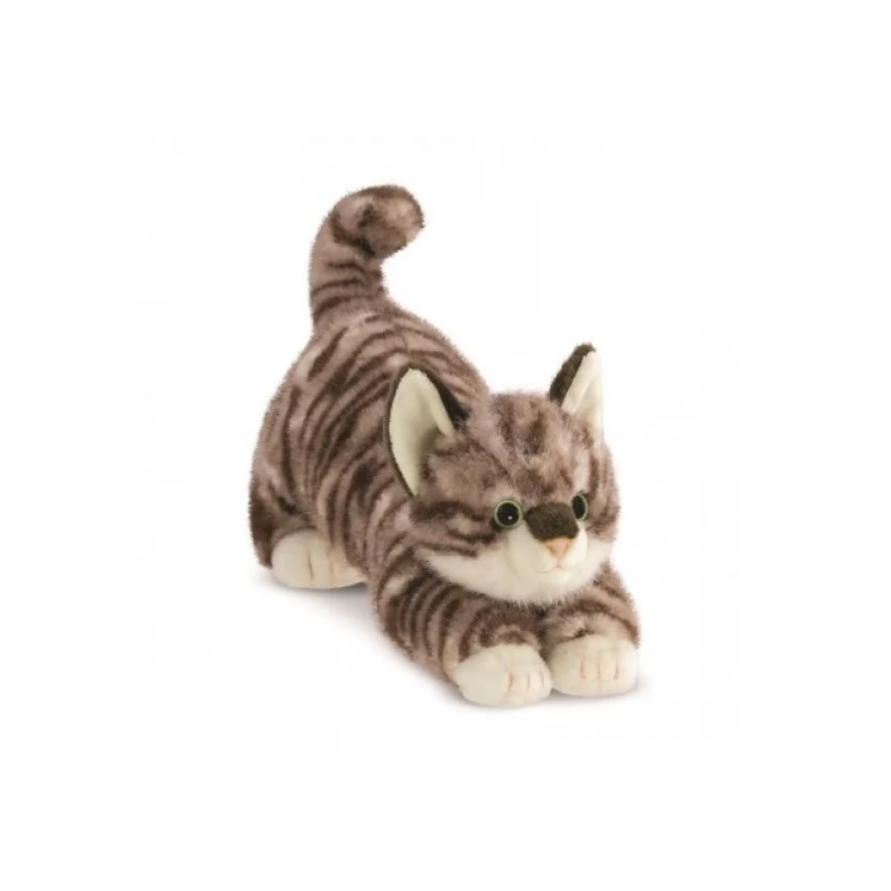 AURORA GIFT Borealis Esme cat plush figura 36cm
