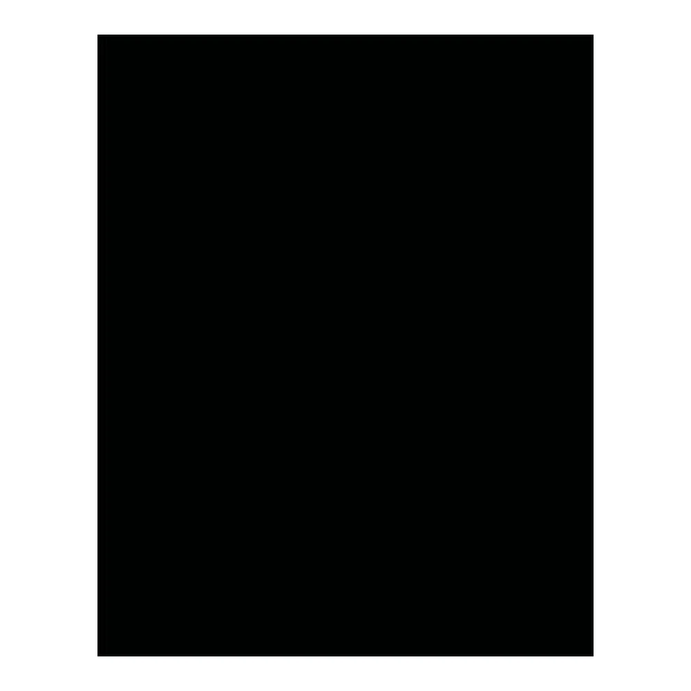 BRINGMANN FOLIA PAPER Dekorkarton 2 Seite 50x70cm 220g 10 lap schwarz FL61221090