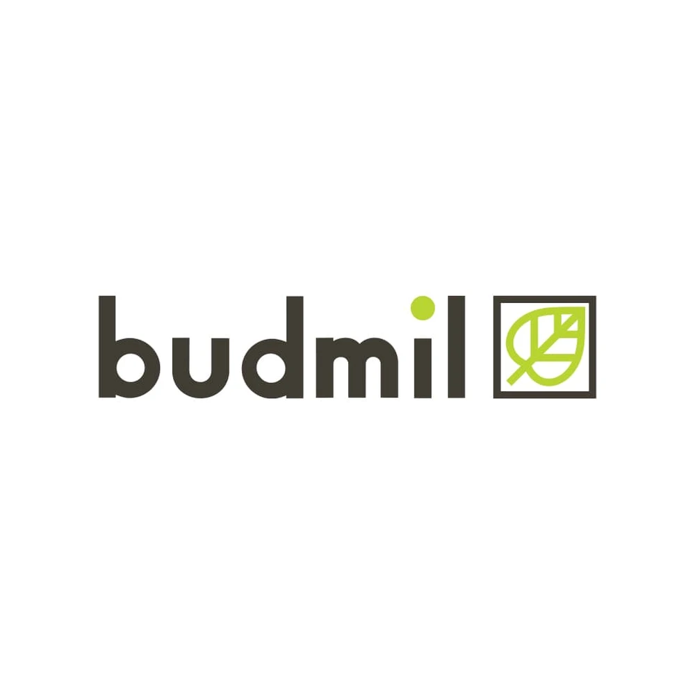 BUDMIL Female slippers Female 41 s.kék