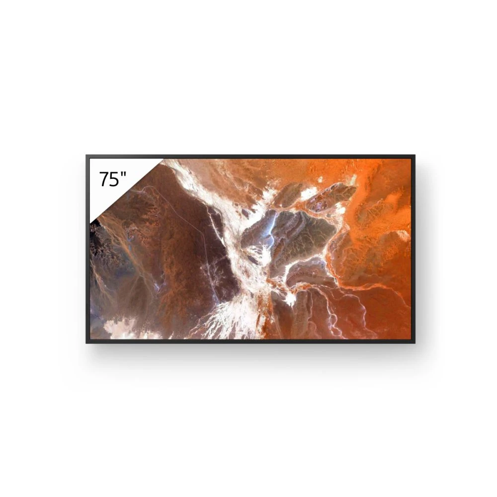 SONY Pro BRAVIA FW-75BZ30P 75" FW75BZ30PB.CEI