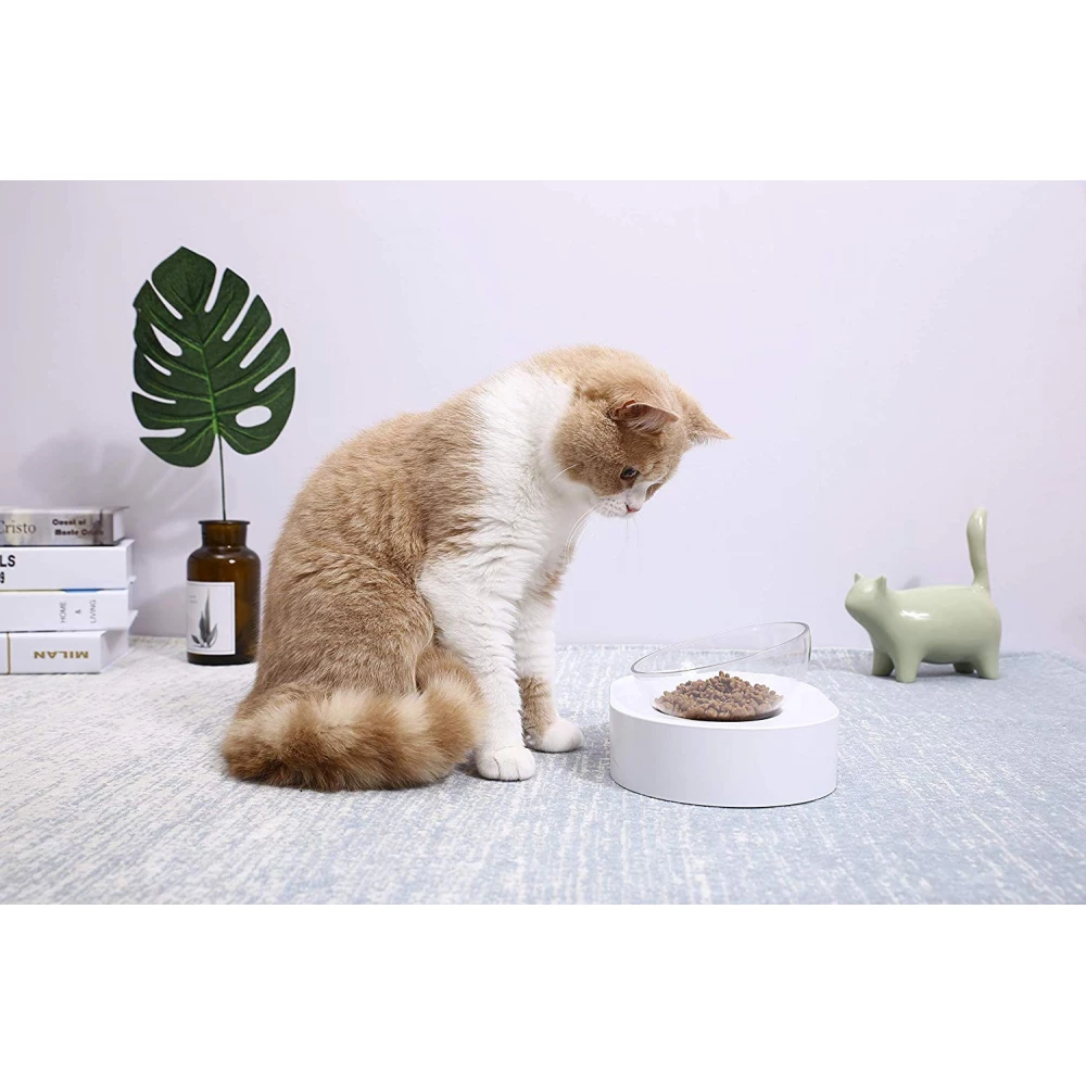 PETKIT FRESH NANO Single cat bowl white transparent 15 fokkal