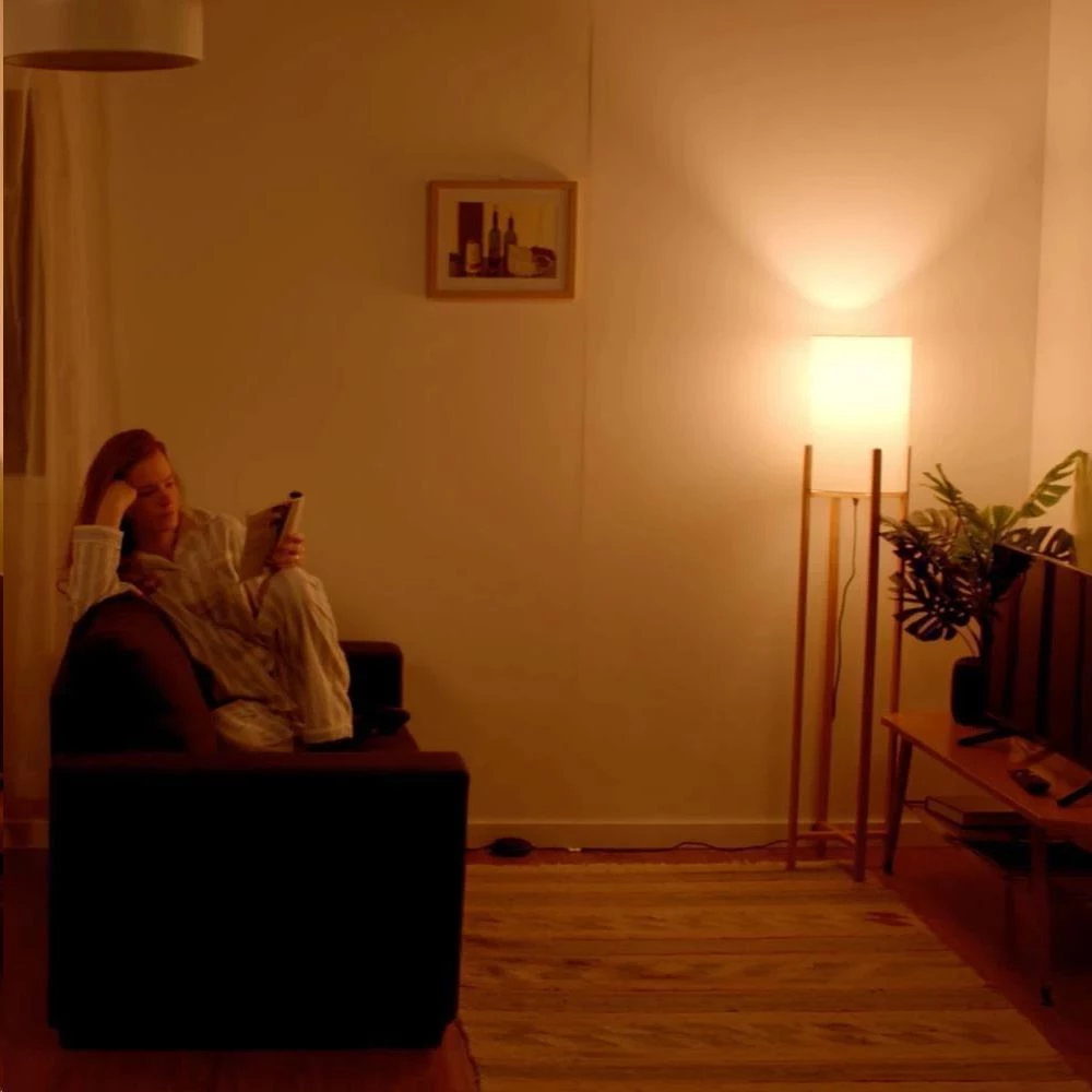 Lifx mini day & dusk e27 store