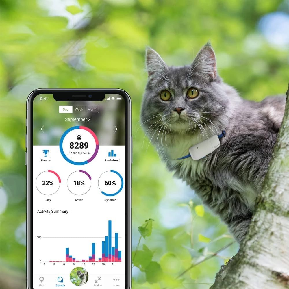 TRACTIVE TRKAT1 GPS Tracker cats white - iPon - hardware and software news,  reviews, webshop, forum