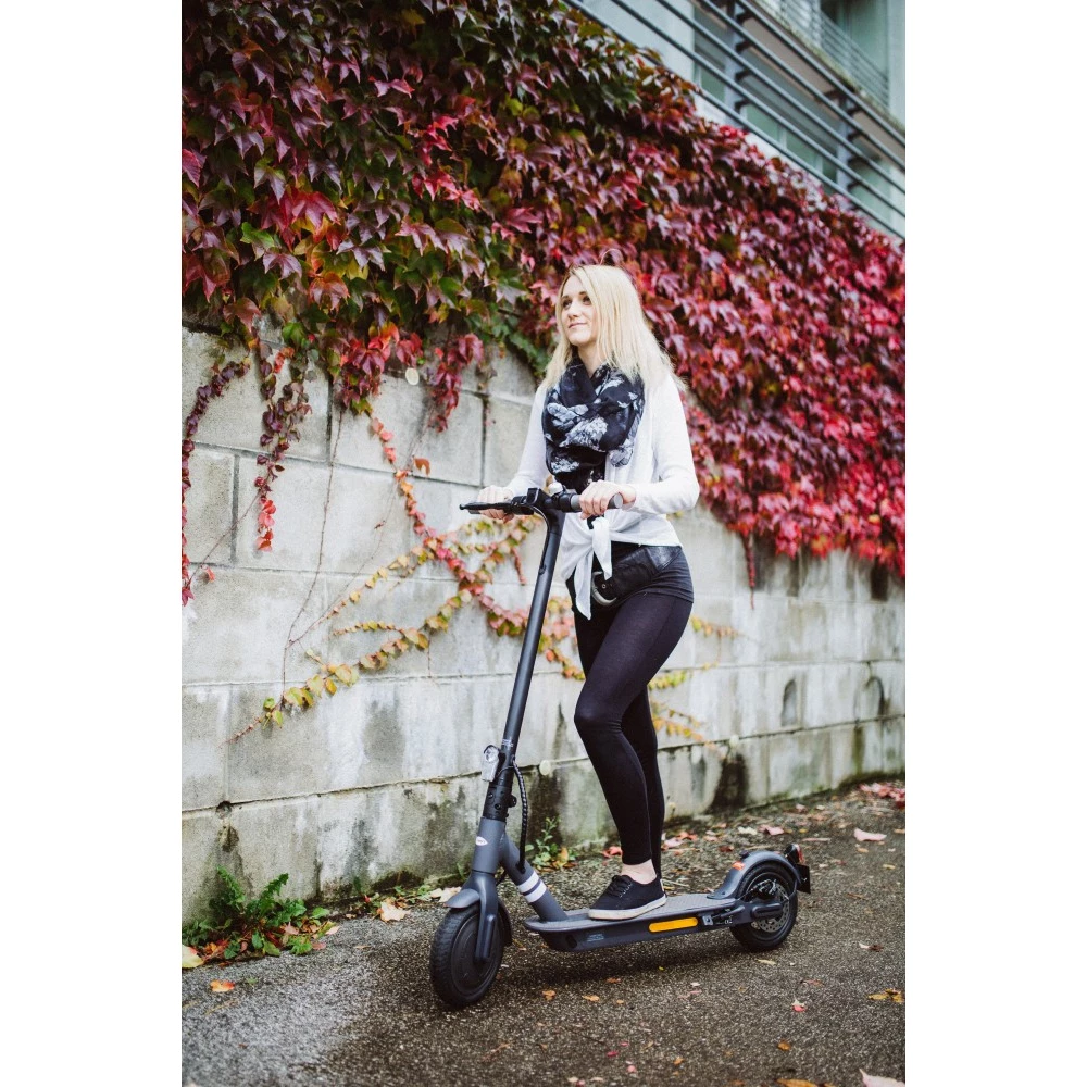 DOC GREEN E-Scooter EWA 6000 adult and webshop, iPon hardware - electric roller - news, forum software reviews