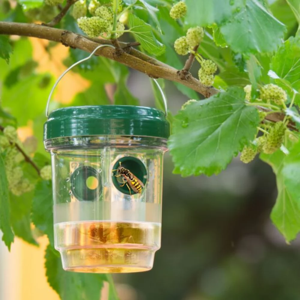 Solam Insecta GARDEN OF EDEN 11383 solar insect traps felakasztható - iPoncomp.com
