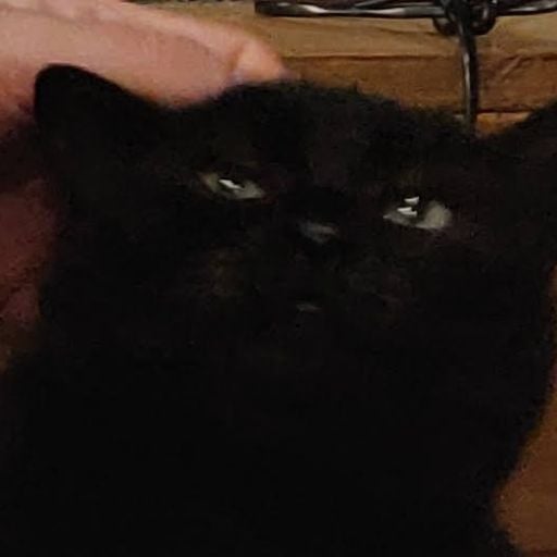 kormosm